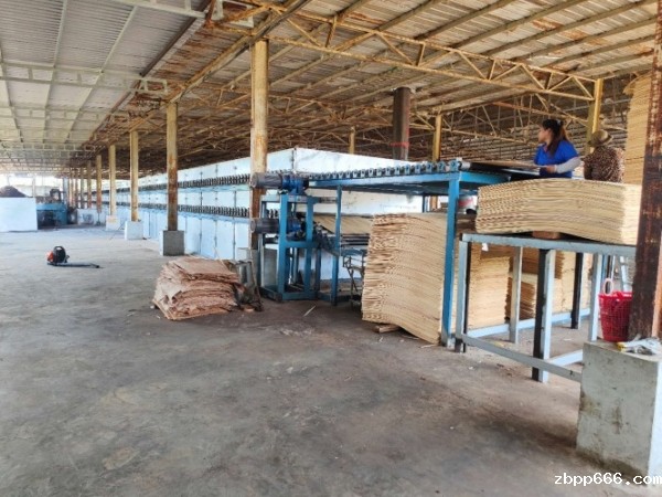 广元腰果木木皮干燥机